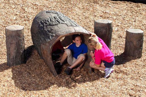 4' Log Tunnel