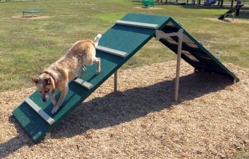 King of the Hill - Dog Park Equipment - American Parks Company