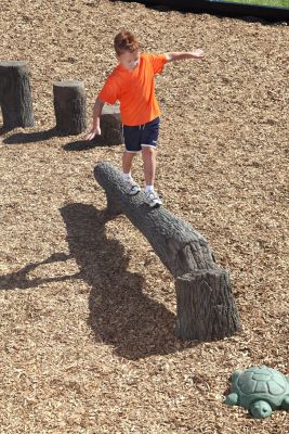 Fallen Tree Balance Beam, 8'