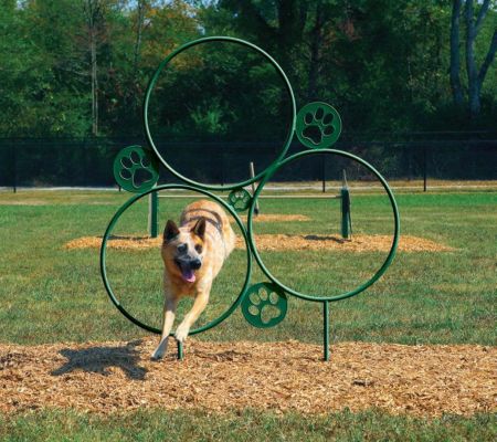 Hoop Jump - Dog Park Equipment