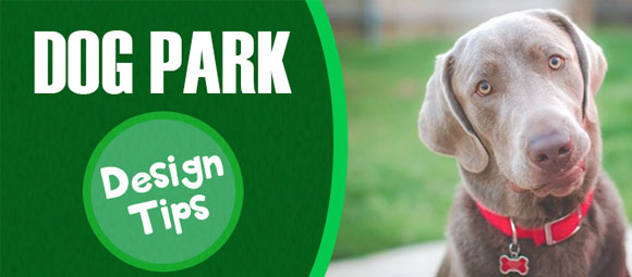 how do you start a community dog park